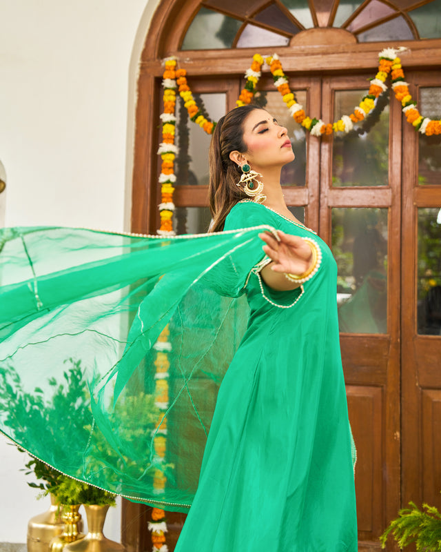 Forest Phulkari Suit Set