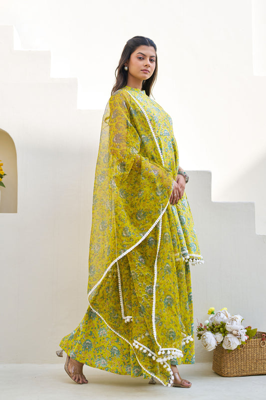 Vihana Cotton Sharara Set