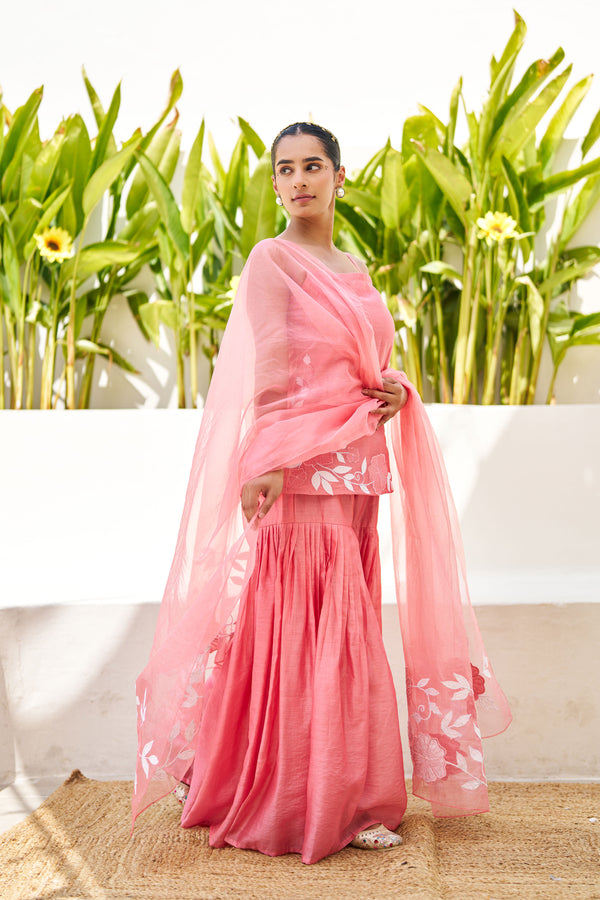 Virasat Pink Chanderi Embroidered Sharara Set