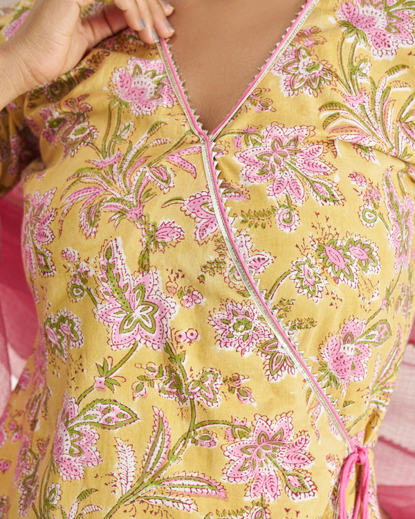 Timeless Elegance Handblock Suit Set