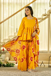 Pitambari Peplum Sharara set
