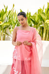 Virasat Pink Chanderi Embroidered Sharara Set