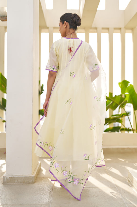 Ziya Butter Yellow Chanderi Hand Painted Angrakha Suit Set